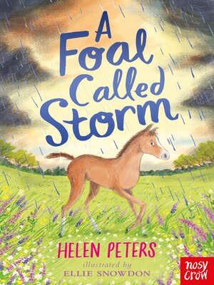 cover image of A Foal Called Storm